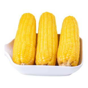 田里有草 黄糯玉米试吃装 黑糯玉米试吃装 甜田苞甜糯玉米试吃装