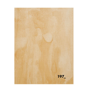 【现货】英文原版 挖掘:穿越遗失的旅程 Excavation : A Journey Through Loss 摄影艺术 正版进口图书画册 善优图书