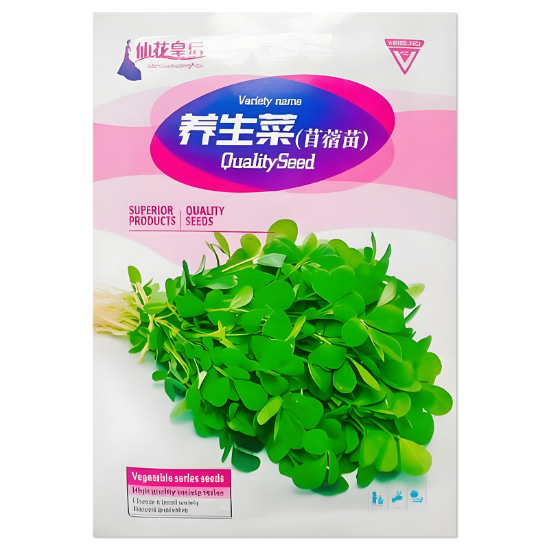 苜蓿菜种子四季蔬菜种子