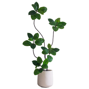 掬涵孟加拉榕仿真绿植高级感客厅轻奢室内装饰树假植物摆件盆栽