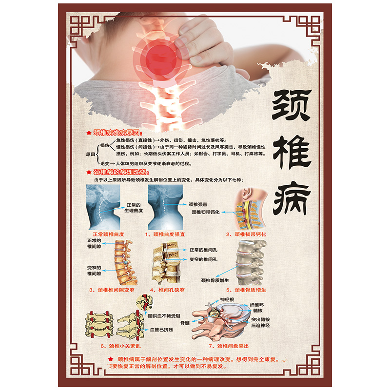 颈椎图片膝关节炎宣传画骨质增生挂画脊柱图腰椎病症图肩周炎海报