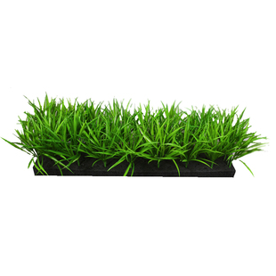 仿真小麦苗仿真秧苗草春草塑料假青草绿植绿草稻苗韭菜稻草花槽