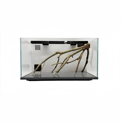 南美倒插黄栎木鱼缸造景即用