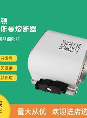 议价全新快速熔断器保险170M7138 170M7139 170M7140 170M7141