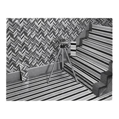 预售 Robert Cumming: The Difficulties Of Nonsense罗伯特卡明：胡扯的困难