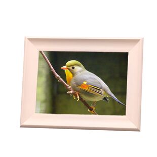 白色实木相框洗照片做成婚纱照儿童摆台挂墙像框木质架78 10 12寸