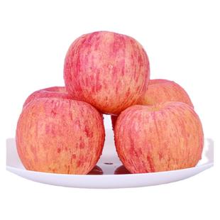 烟台红富士苹果正宗山东栖霞新鲜水果脆甜多汁大孕妇吃的非冰糖心