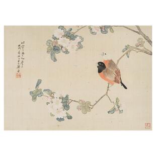 居廉居巢工笔花鸟草虫国画高清微喷原大画芯临摹学习画稿斗方画