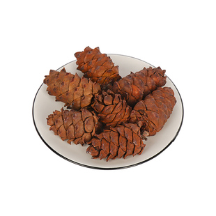 松鼠粮食主粮主食零食黄山吃的食物粮食饲料马尾松子松塔磨牙用品