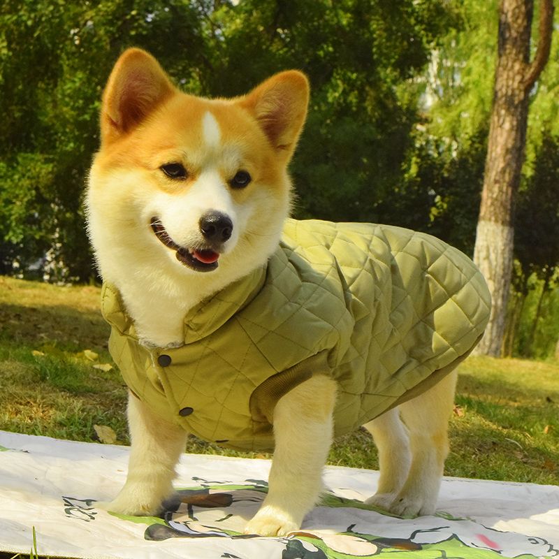 柯基柴犬泰迪腊肠狗狗衣服中型犬秋冬季保暖加绒加厚棉衣棉袄马甲