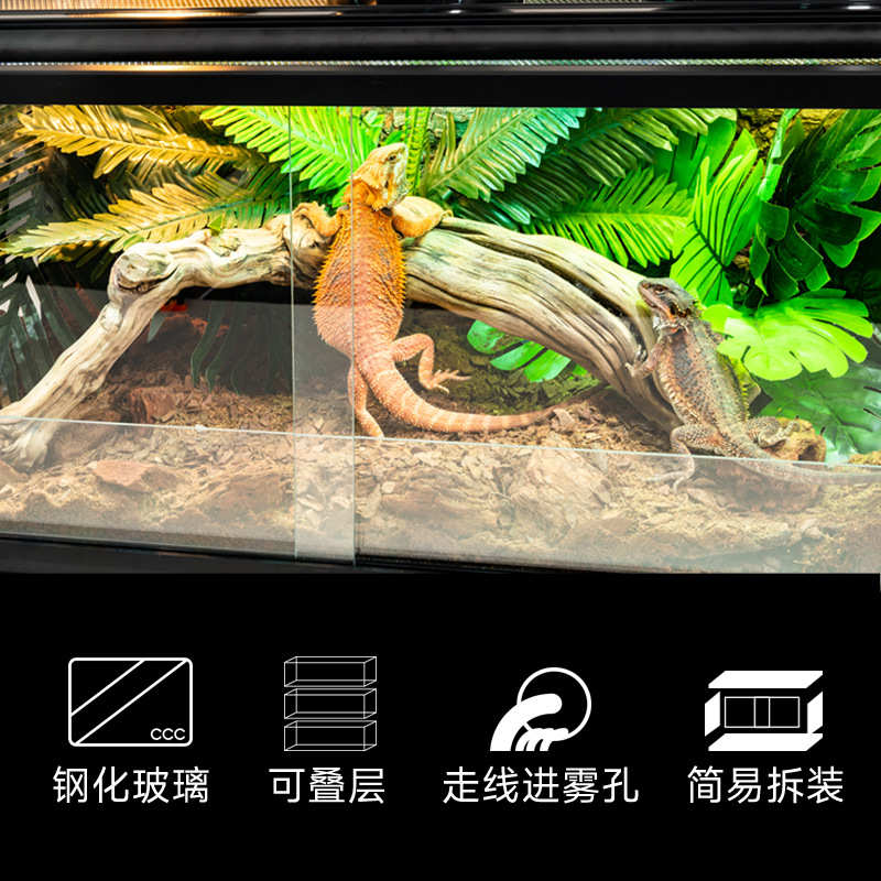 Giangarden巨人爬宠饲养箱变色龙蜥蜴玻璃爬缸陆龟雨林造景爬虫箱
