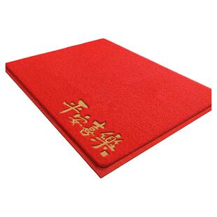 入户门地垫大门口进门丝圈脚垫家用进户门垫室内防滑地毯耐脏玄关