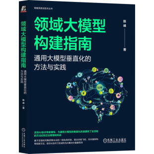 官网正版 领域大模型构建指南：通用大模型垂直化的方法与实践 陈峰 RAG DeepSeek LangChain大模型 领域大模型 垂直大模型 向量