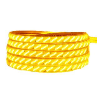 超亮led灯带户外防水外墙专用金黄光室外工程亮化照明220v软灯条