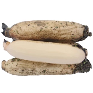 【顺丰】江汉平原特产正宗湖北洪湖粉藕新鲜莲藕煲汤粉藕九孔莲藕