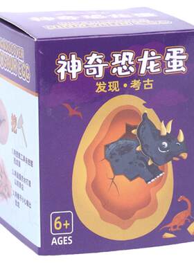 汇迪熊儿童手工diy生日礼物