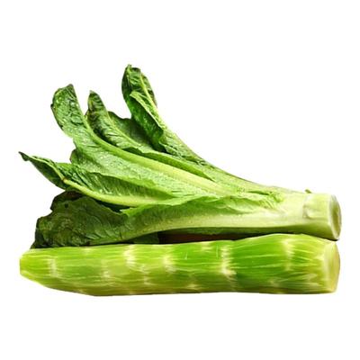 良道天成【有机紫叶青笋】鲜蔬菜