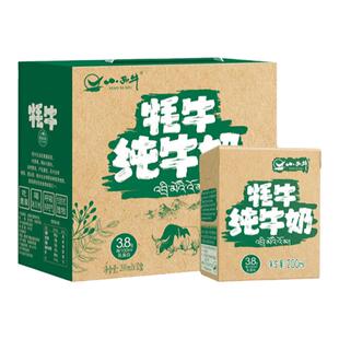 三月份新货已到   小西牛牦牛奶纯牛奶200ml*12盒/箱