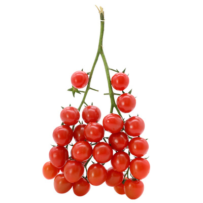 冰淇淋四季阳台番茄种子四季