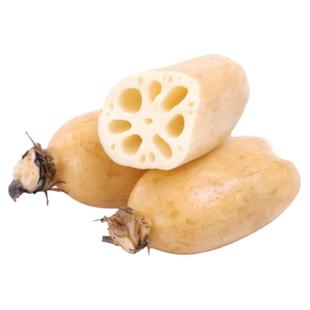 乡里阿蓉【西胪咸水莲藕】新花莲藕嫩粉食用糯香新鲜现挖带泥现发