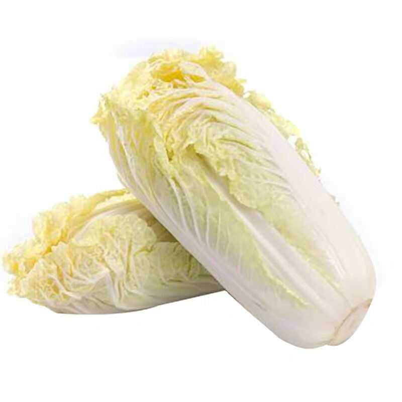 正宗娃娃菜黄心早熟高产种子