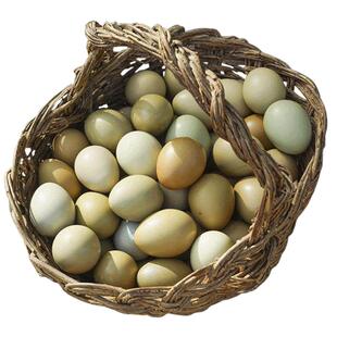 新鲜山鸡蛋30枚顺丰包邮营养1顶3土鸡蛋小满月喜蛋野鸡蛋礼盒