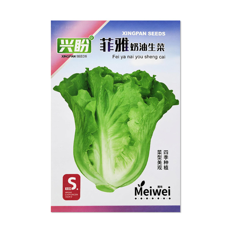 兴盼菲雅奶油生菜种子