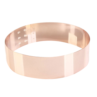 百搭金属腰带女装饰连衣裙子腰封配饰毛衣宽皮带简约礼服大衣腰饰