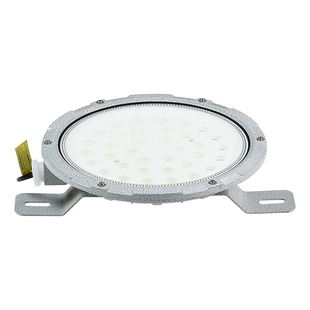 led防爆吸顶灯圆防水防尘防腐工厂仓库厂房车间加油站220V照明灯