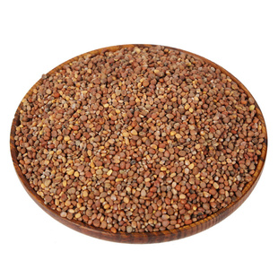 中药材 新货莱菔子 白萝卜籽莱菔子粉 莱菔子莱菔子500g克