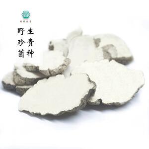 马来野生虎乳菌片虎奶菌可代打粉