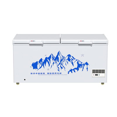New【全网热销】商用卧室冷冻柜