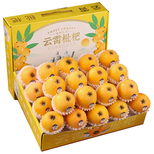 顺丰5斤正宗云南蒙自枇杷鲜果当季新鲜水果琵琶大果整箱礼盒包邮