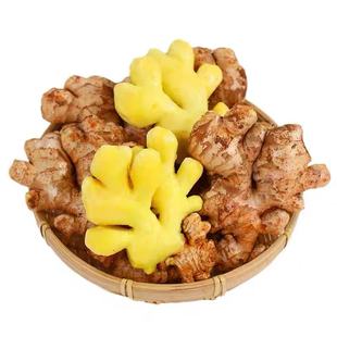正宗云南当季小黄姜新姜生姜新鲜黄姜土姜子姜嫩姜鲜姜包邮