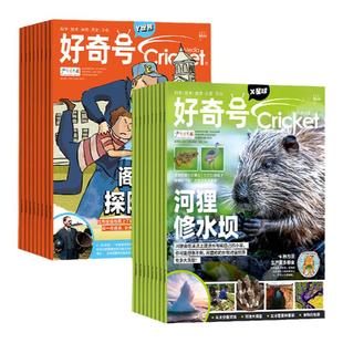 好奇号杂志2025/2026年订阅12期36册每月双刊6-12岁儿童全领域通识读物期刊杂志科学技术自然历史文化知识全球化视野主题式科普