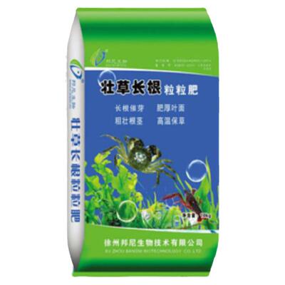 壮草长根粒粒催芽螃蟹小龙虾
