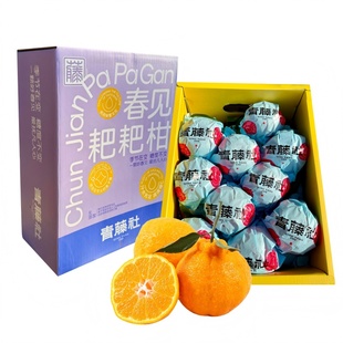 青藤社春见耙耙柑6斤礼盒装纯甜丑桔橘子新鲜当季水果顺丰包邮