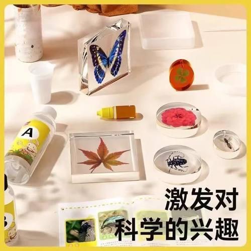 真实琥珀昆虫标本制作玩具真虫diy蝴蝶甲虫手工实验材料自制工具