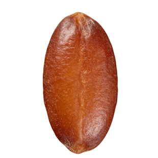 葶苈子中药材500g克精选野生葶历籽天然无硫无熏葶苈子粉北葶苈子