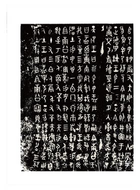 【正版书籍】金文书法集萃全套1-10册 释文对照西周春秋战国金文铭文大篆毛笔书法字帖 篆刻研究临摹鉴赏放大繁体毛公鼎散氏盘字帖