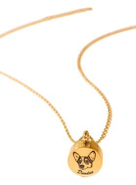 来图定制宠物毛发骨灰项链吊坠