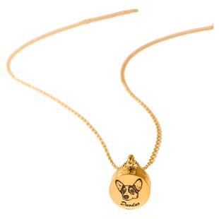 来图定制宠物毛发骨灰项链去世猫咪狗刻字照片纪念品吊坠精致礼物