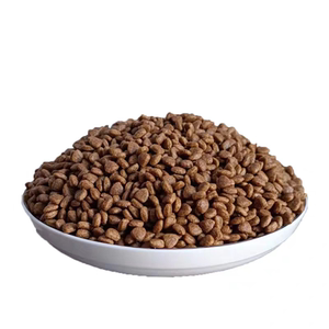 比熊贵宾博美雪纳瑞中型成犬包邮