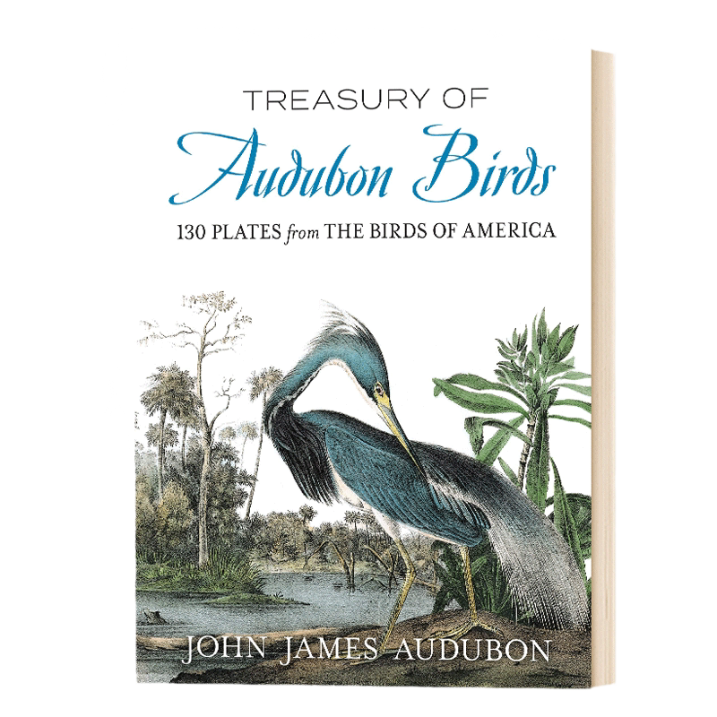 奥杜邦鸟类宝库 来自美国鸟类的130个盘子 英文原版 Treasury of Audubon Birds 130 Plates from The Birds of America