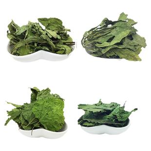 小宠零食清新干薄荷叶桑叶菊苣草蒲公英干草兔子龙猫常备