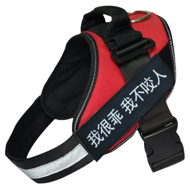 胸背带牵引绳字帖可定制
