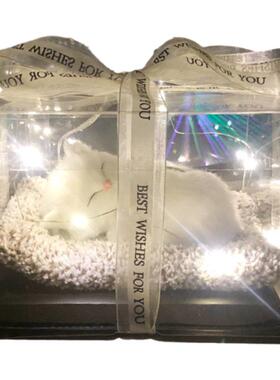 灯光礼盒竹炭净化空气