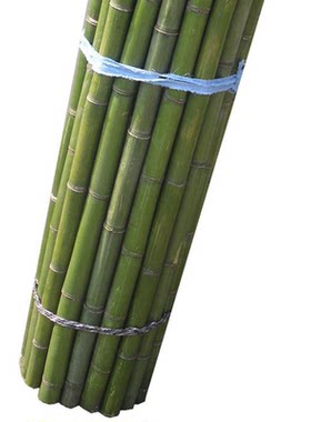 竹竿小竹杆菜园搭架子篱笆栅栏菜豆角黄瓜爬藤花架竹子围栏旗杆