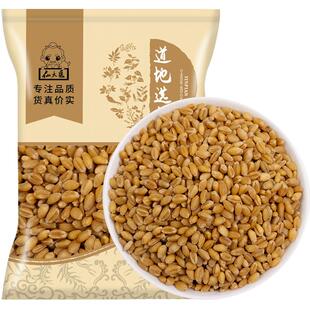淮小麦中药材500g正品甘麦大枣汤原料怀小麦另售甘草大红枣淮小麦