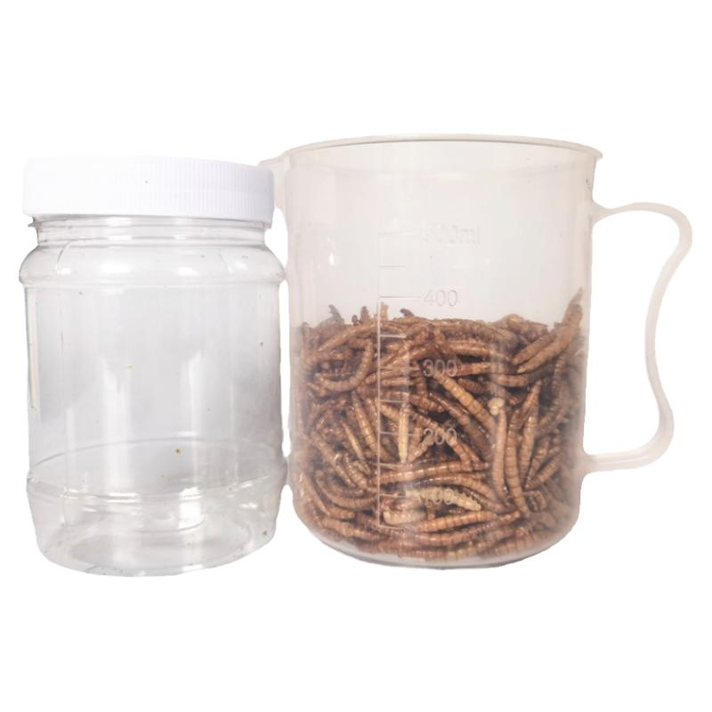 黄粉虫干虫粉面包虫干虫仓鼠粮食营养蛋白质金丝熊食物零食喂鸡鸭